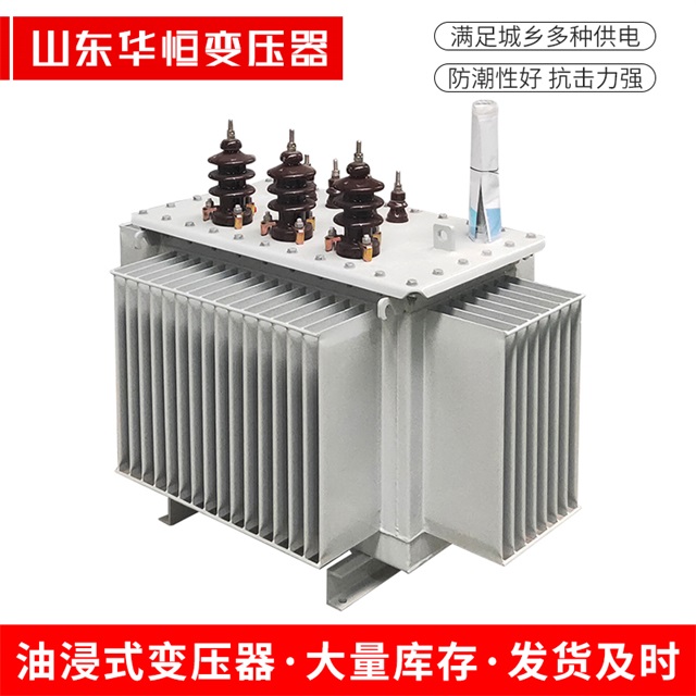 S13-10000/35滨州滨州滨州油浸式变压器厂家
